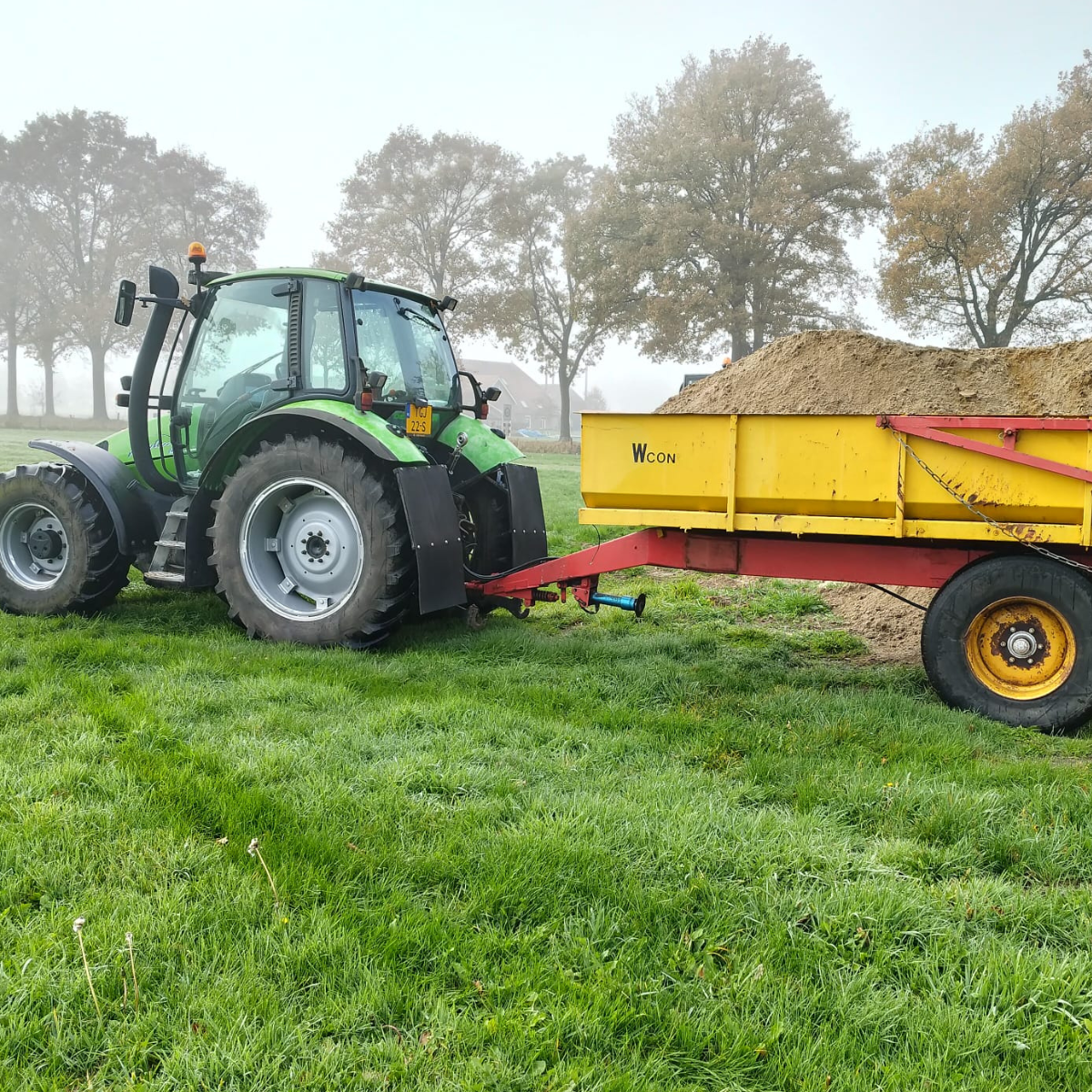 eigenmaterieellindeboom